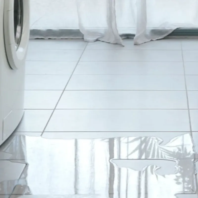 Appliance Leak Cleanup in Saint Clair County, IL
