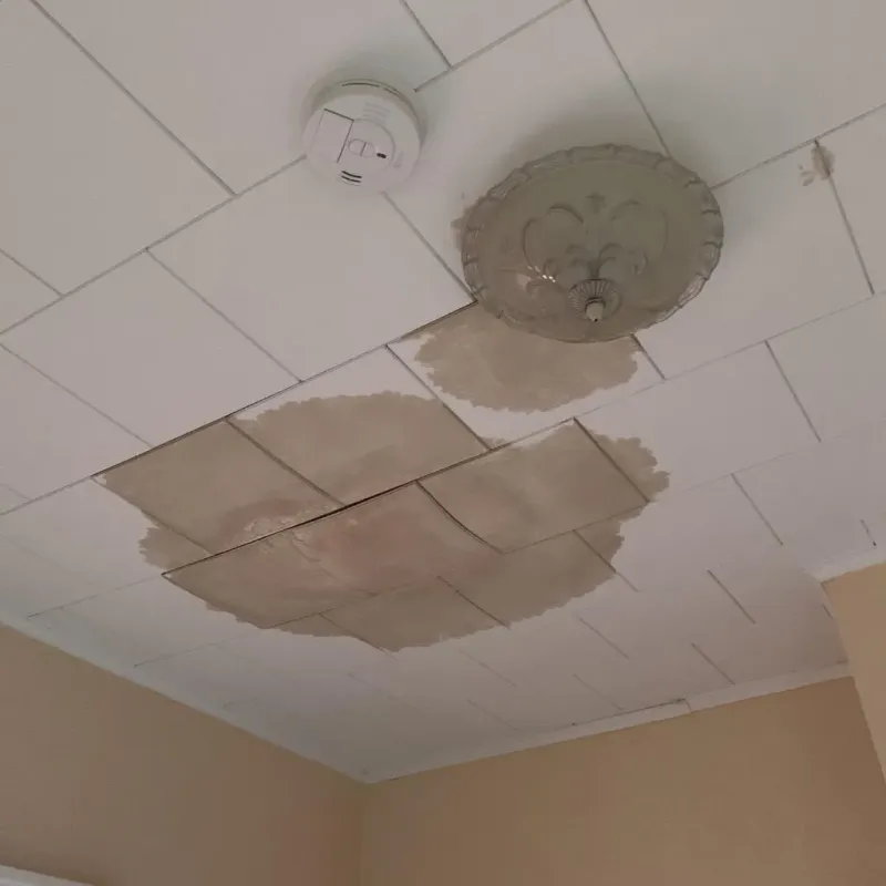 Ceiling Water Damage Repair in Saint Clair County, IL