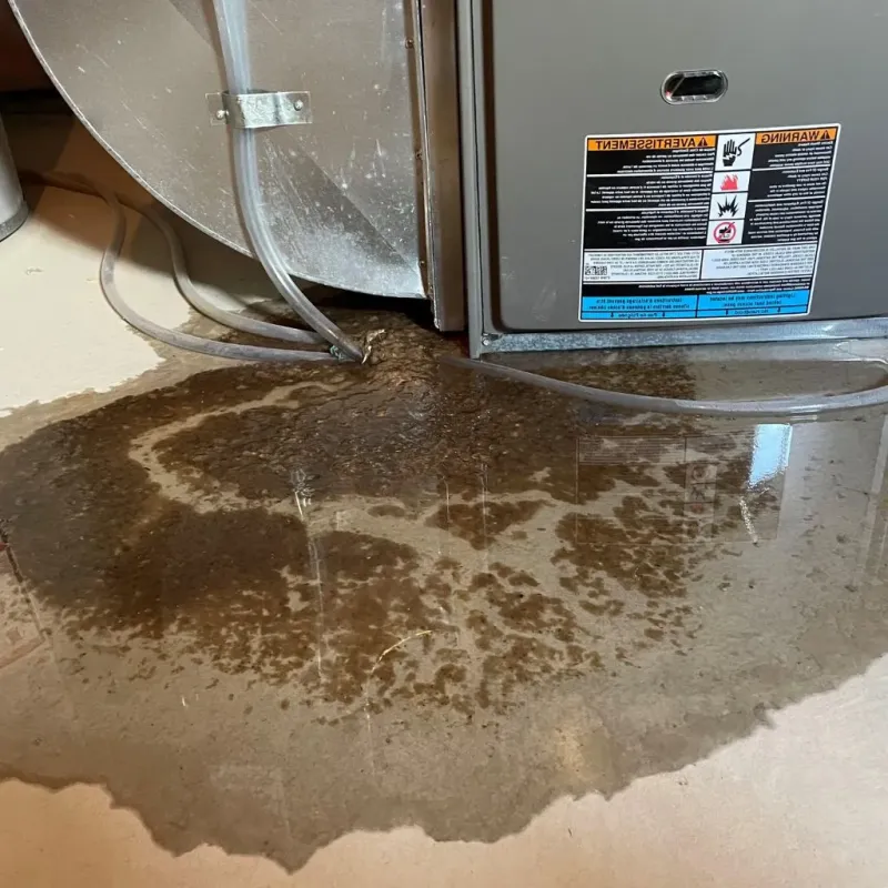 Pipe Burst and Leak Restoration in Saint Clair County, IL