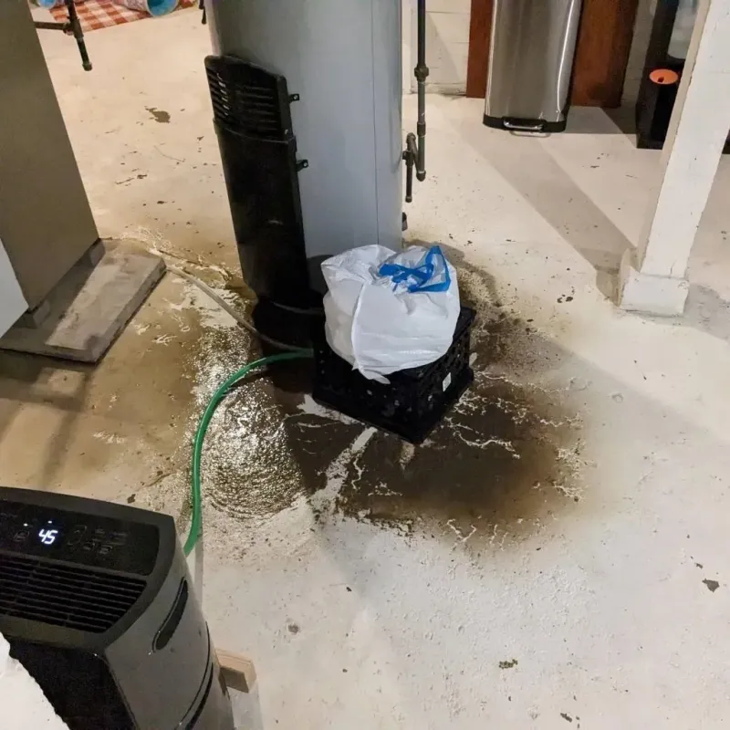 Sewage Backup Cleanup Service in Saint Clair County, IL